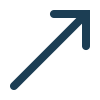 check icon